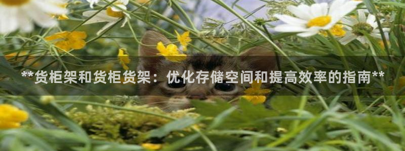 杏运体育平台正规吗安全吗