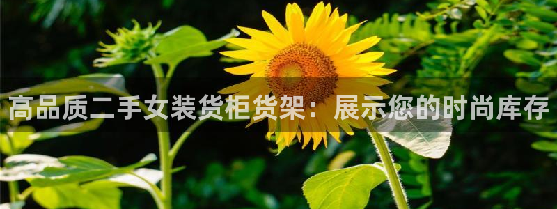 杏运体育娱乐