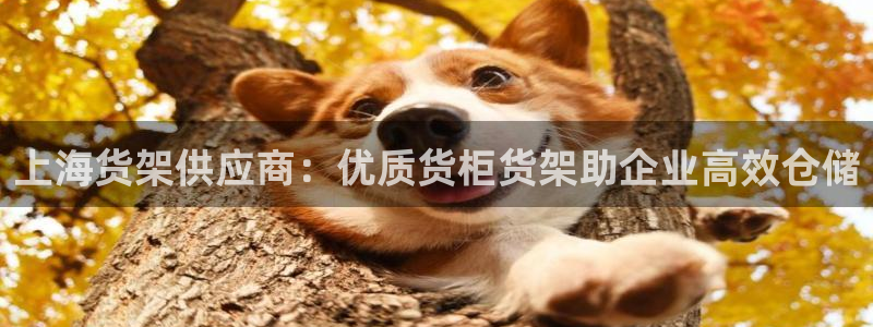 杏运汽车招商