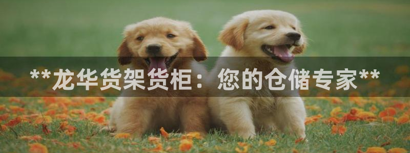 杏运体育官方网址