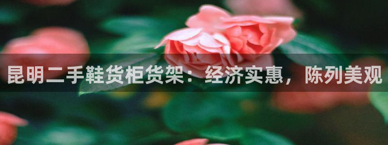杏运汽车招商