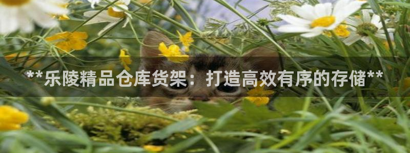 杏运体育登录