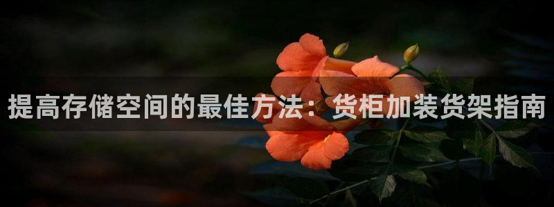 杏运代理