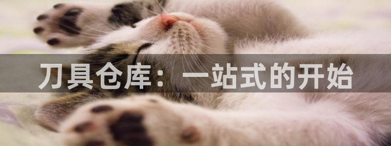 杏运注册账号