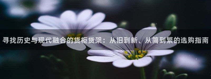 杏运汽车招商