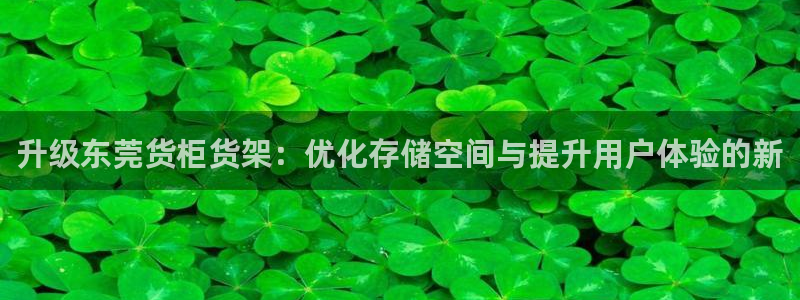 杏运平台官方网站：升级东莞货柜货架：优化
