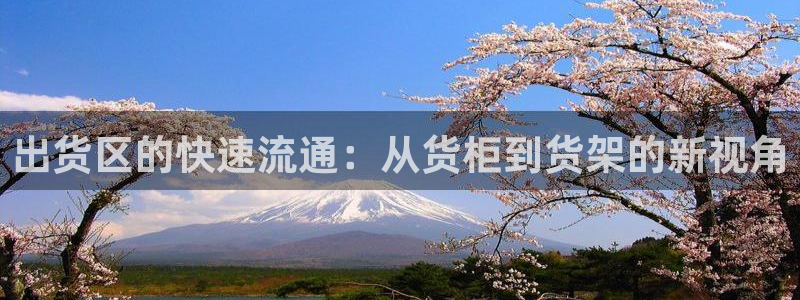 杏运体育：出货区的快速流通：从货柜到货架