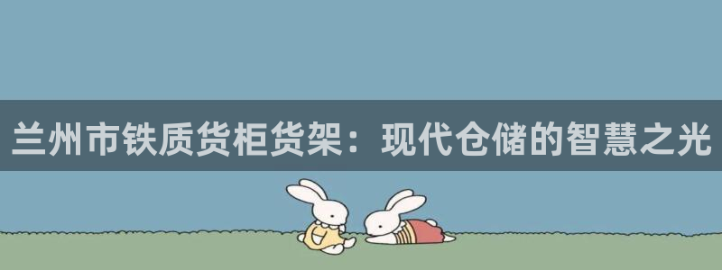 杏运体育：兰州市铁质货柜货架：现代仓储的