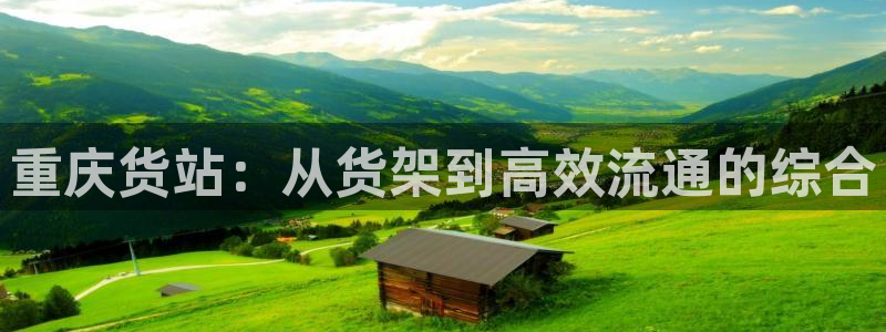 杏运体育平台正规吗安全吗可信吗
