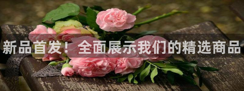 杏运平台登陆