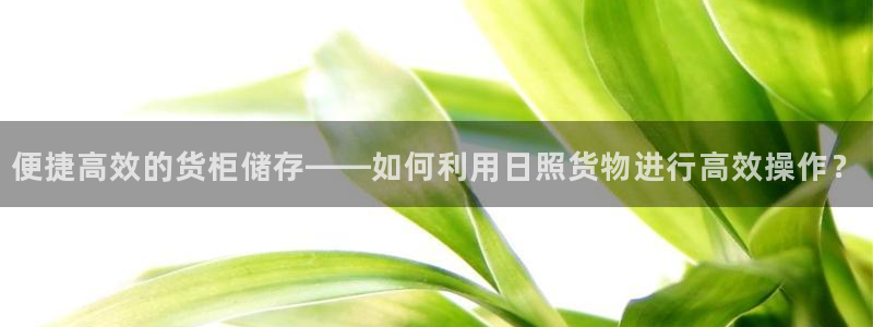 杏运平台官网
