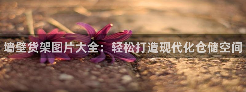 杏运相伴：墙壁货架图片大全：轻松打造现代