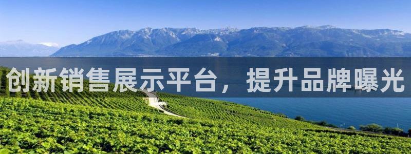 杏运平台注册登录