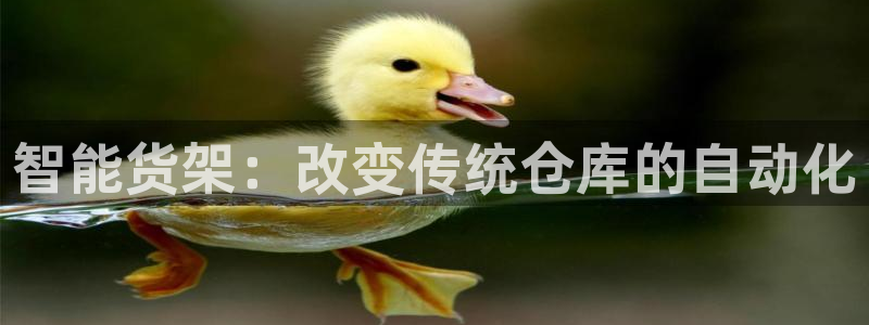 杏运体育官方网址