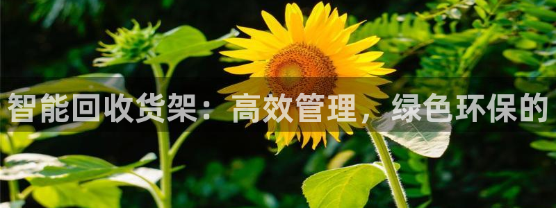 杏运体育官方网址