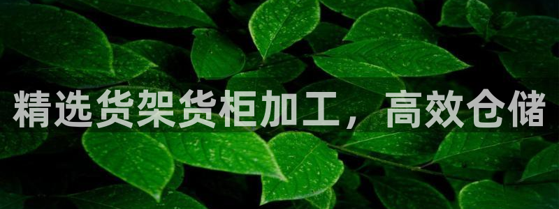 杏运体育怎么样：精选货架货柜加工，高效仓