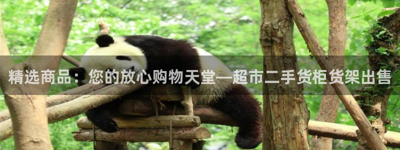 杏运汽车招商：精选商品：您的放心购物天堂